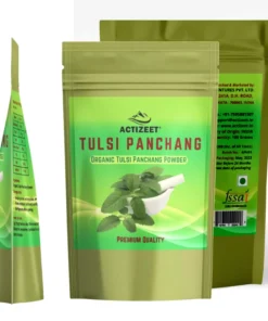 ACTIZEET | Tulsi Panchang Powder Organic