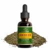 ACTIZEET | Aniseed Essential Oil