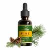 ACTIZEET | Pine Essential Oil