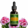 ACTIZEET | Geranium Essential Oil