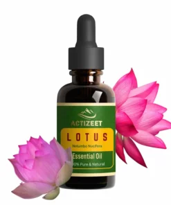 ACTIZEET | Lotus Essential Oil