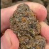 BullDog Coffeshop Amsterdam | Weed |  Rs x  Permanent Maker - delta9
