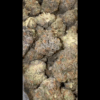 BullDog Coffeshop Amsterdam | WEED |  P41 Loose By Doja - delta9