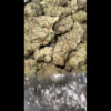 BullDog Coffeshop Amsterdam | WEED |  Zoop - delta9