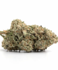Herb Approach | Mac 1 Δ⁹ THC