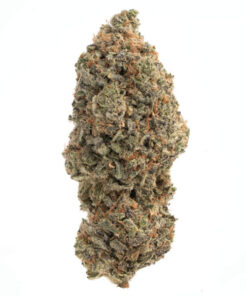 Herb Approach | Rainbow Sherbert Δ⁹ THC