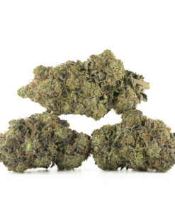 Green Society | Pink Venom Δ⁹ THC