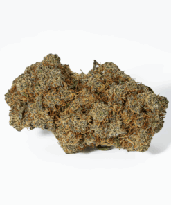 Get Kush | Orange Julius Δ⁹ THC