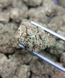Cookiz.io | Tzm CBD