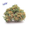 WeWeed | STRAWBERRY JUICE 2026