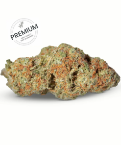 WeWeed | GSC COOKIES – PREMIUM