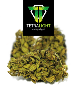 TetraLight | Bubble Cannabis light