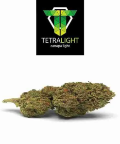 TetraLight | Ak 47 Cannabis light