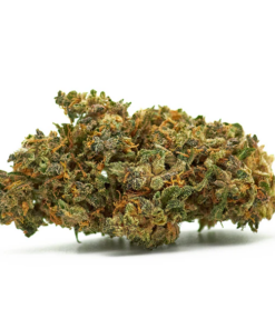 Garda Joint | Platinum