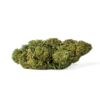 Canapa Montana | Cannatonic Greenhouse