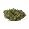 Canapa Montana | Bubba Kush Greenhouse