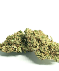 Canapa Montana | Queen Remedy Indoor