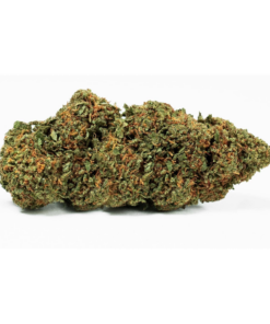 Canapa Montana | Indian Kush Indoor