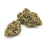 Canapa Montana | Cannaberry Indoor
