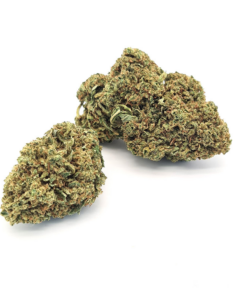 Canapa Montana | Cannaberry Indoor