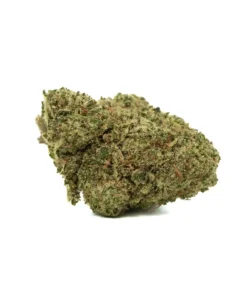 Canapa Montana | CALI OG Indoor