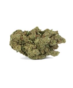 Canapa Montana | Amnesia White Indoor