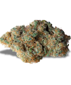 Canapa Montana | FOG Indoor
