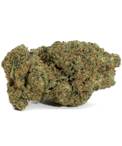 Canapa Montana | Apple Punch Indoor