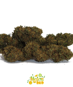 IperHemp | Melon Bud – Infiorescenza di Canapa Light