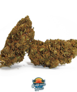 IperHemp | California Haze – Infiorescenza di Canapa Light