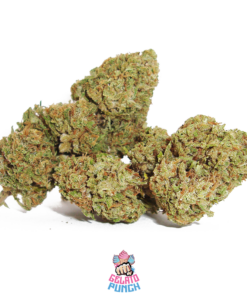 IperHemp | Gelato Punch – Infiorescenza di Canapa Light