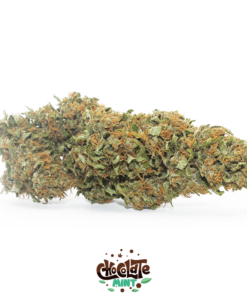 IperHemp | Chocolate Mint – Infiorescenza di Canapa Light