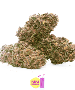 IperHemp | Purple Lemonade – Infiorescenza di Canapa Light