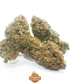 IperHemp | Cookies Berry – Infiorescenza di Canapa Light