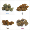 IperHemp | Kit Outdoor – Pacchetto prova di Cannabis Light