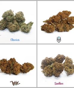 IperHemp | Kit Outdoor – Pacchetto prova di Cannabis Light