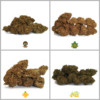 IperHemp | Kit Fruit GreenHouse – Pacchetto prova di Cannabis Light