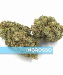 Appennino Farm | GELATO INDOOR