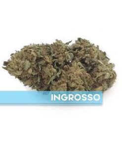 Appennino Farm | CBG Outdoor