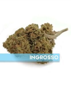 Appennino Farm | AMNESIA Outdoor