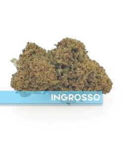 Appennino Farm | REMEDY LEMON Outdoor