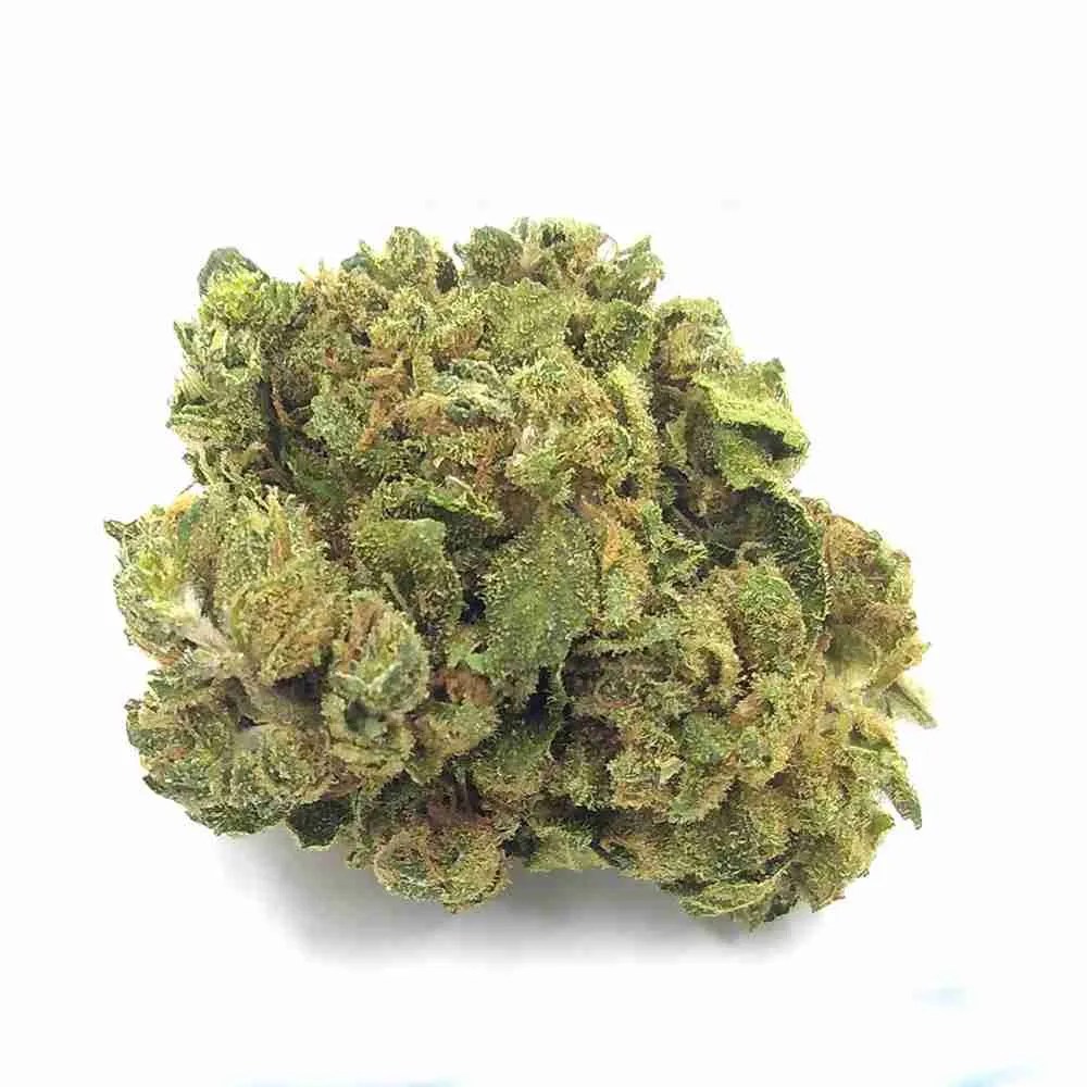 Appennino Farm | SUPER SKUNK indoor - immagine 2