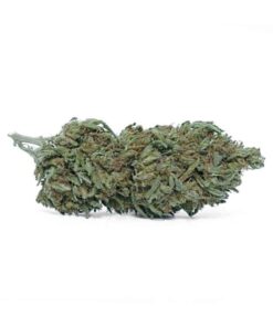WeedOutlet | FLOWER BOMB CBD