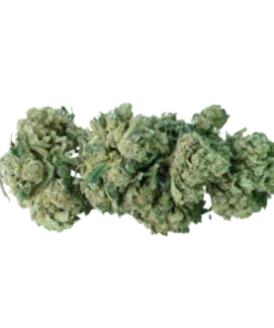 Clorofilla | Northwest – Cannabis Light Legale