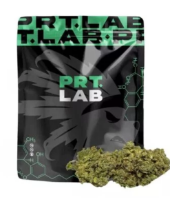PRT LAB | HPI - PRT LAB