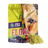 PRT LAB | FLOKI - PRT LAB