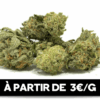Green Buds | Small Buds | 24% CBD