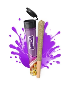 Cocori Kush | INFU'STICK CBD AMNESIA