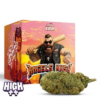Cocori Kush | ANGELS KUSH HEC-10