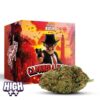 Cocori Kush | CAMORRA HAZE HEC-10